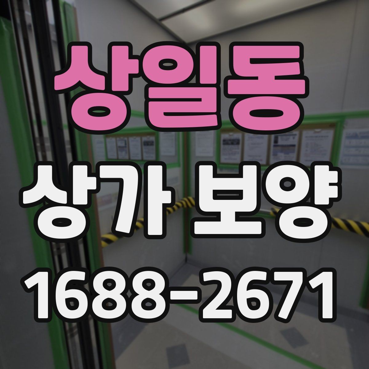 상일동 상가 보양 업체별 견적 차이가 생기는 이유
