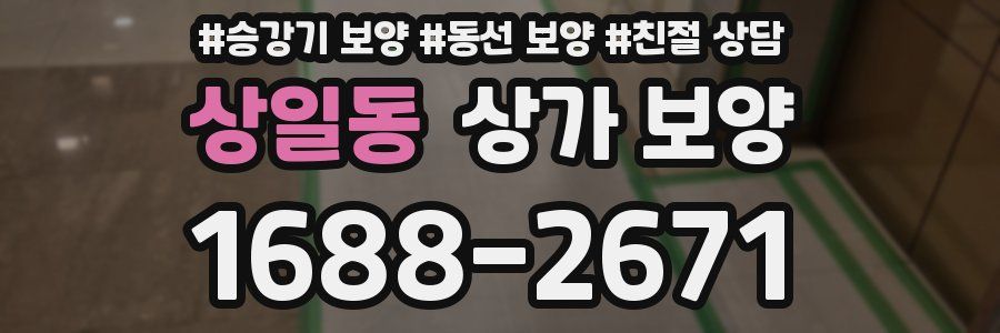 상일동 상가 보양