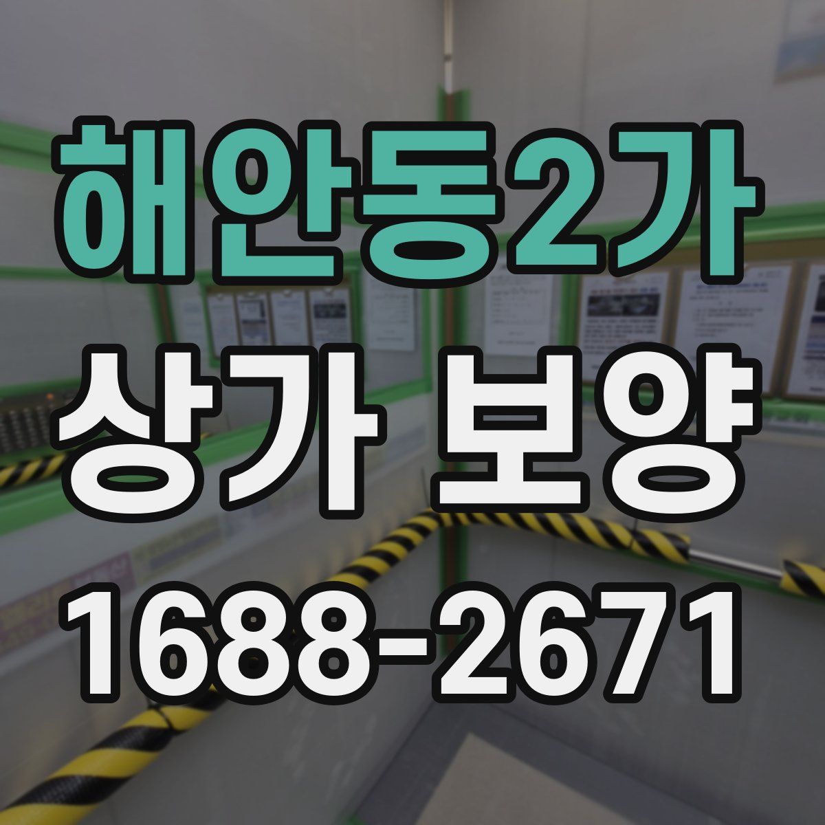 해안동2가 상가 보양