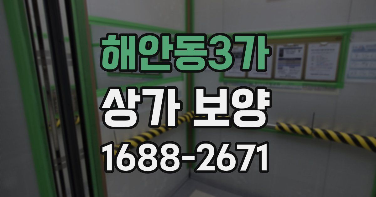 해안동3가 상가 보양
