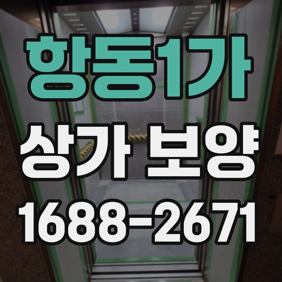 항동1가 상가 보양 시 작업 순서가 중요한 이유