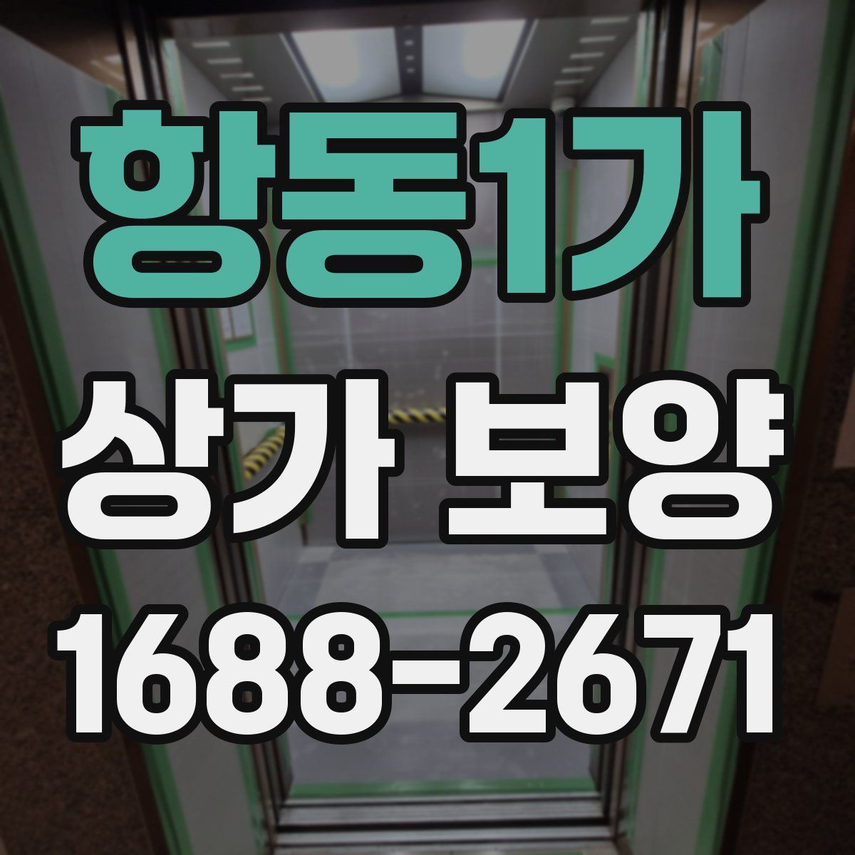 항동1가 상가 보양