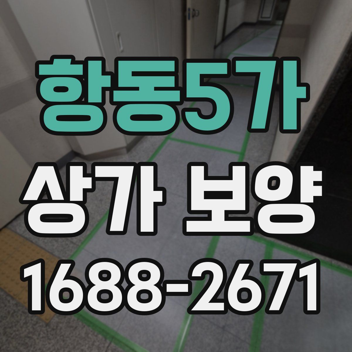 항동5가 상가 보양