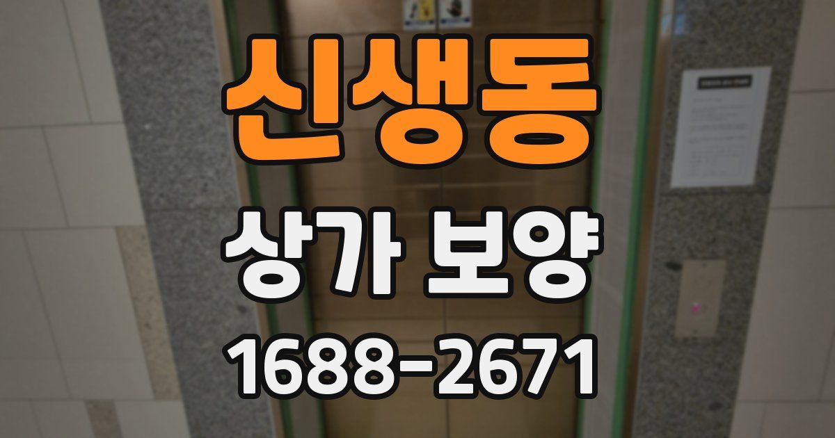 신생동 상가 보양