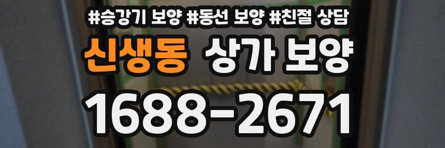 신생동 상가 보양