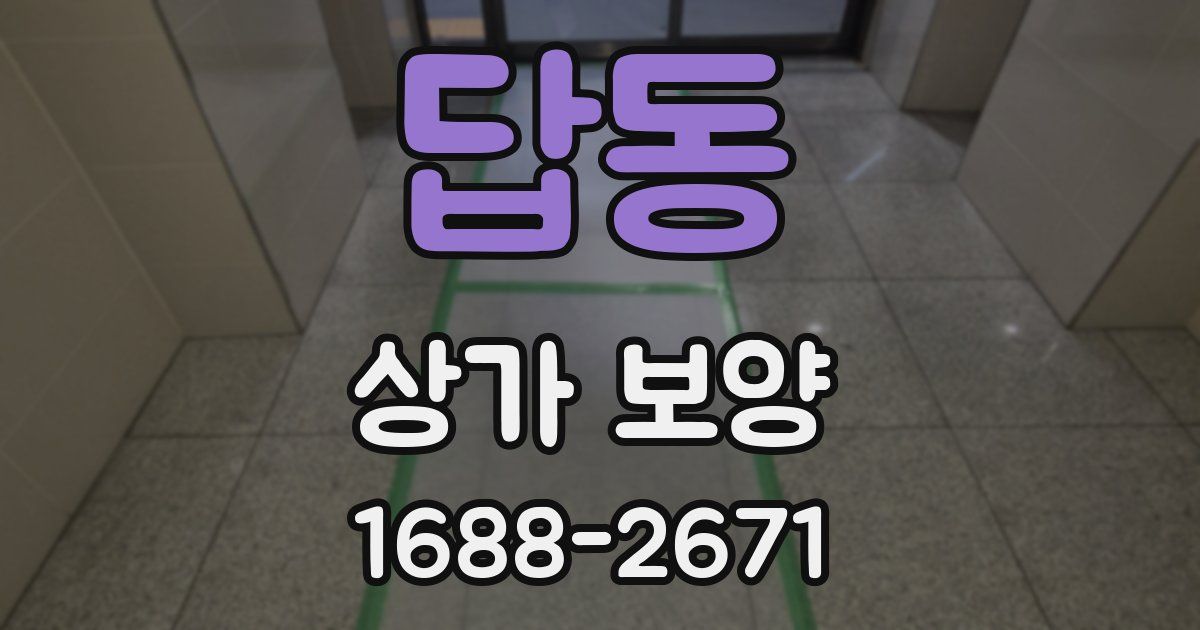 답동 상가 보양