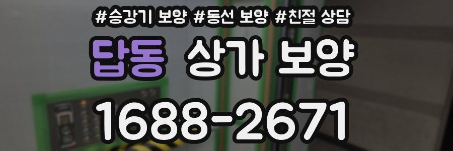 답동 상가 보양