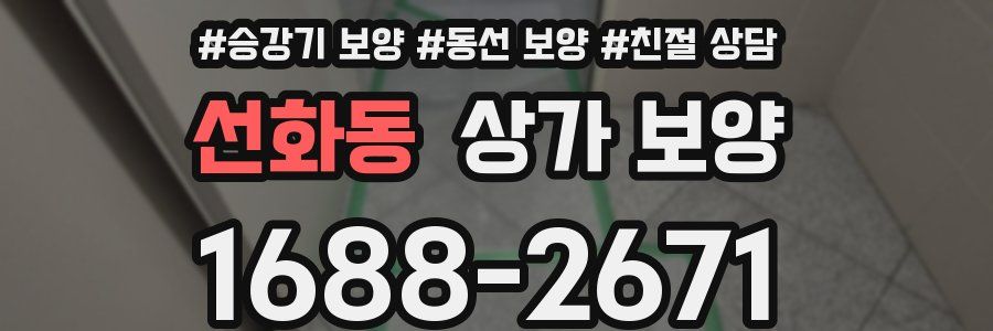 선화동 상가 보양