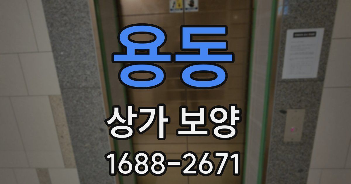 용동 상가 보양