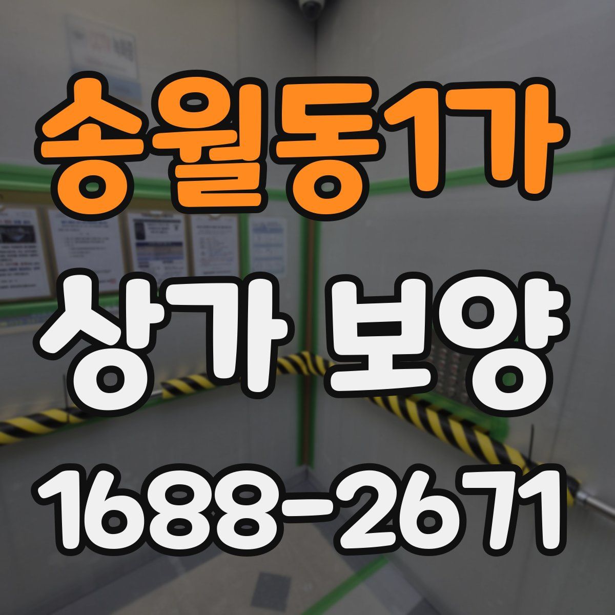 송월동1가 상가 보양