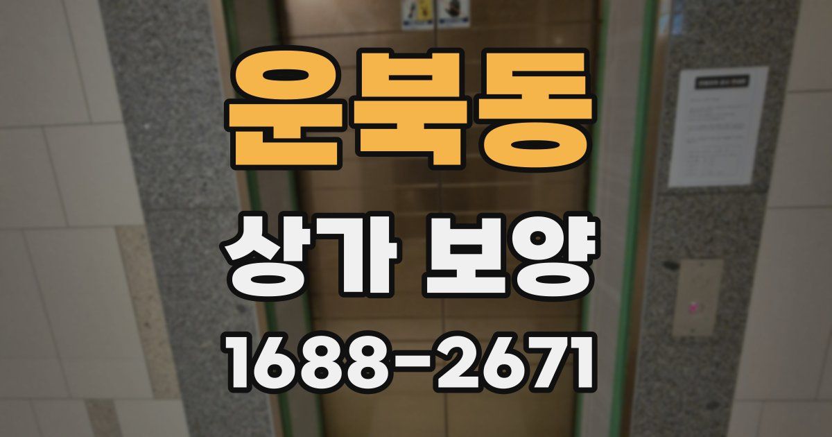 운북동 상가 보양