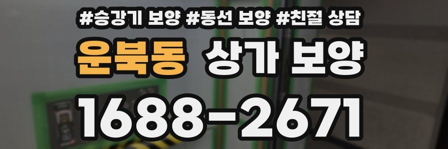 운북동 상가 보양