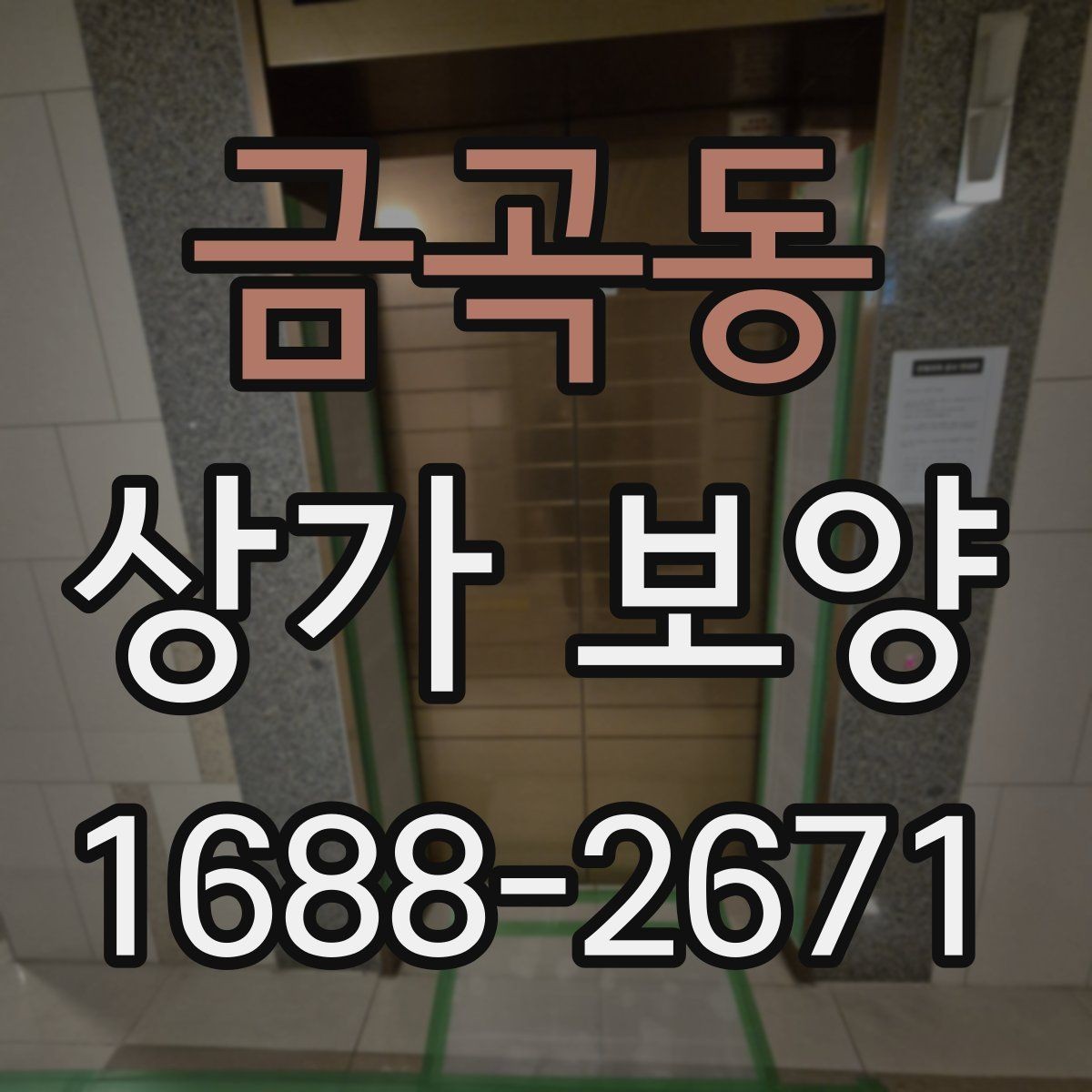 금곡동 상가 보양 시공 후 점검해야 할 부분들