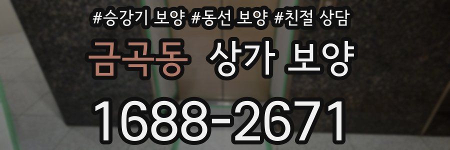 금곡동 상가 보양