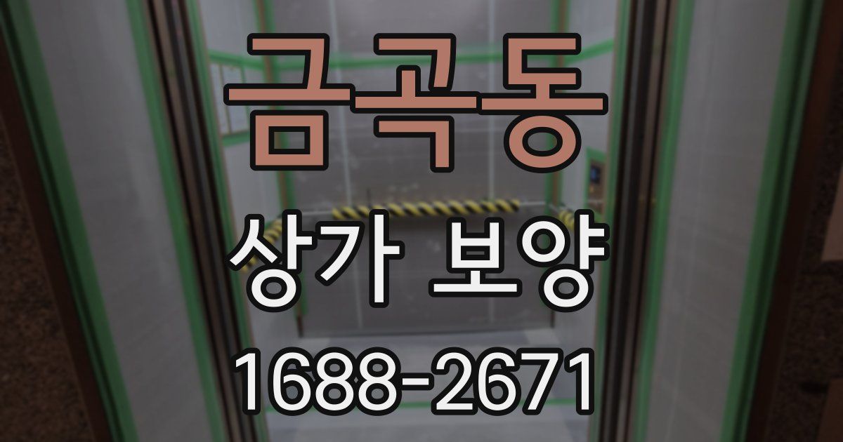 금곡동 상가 보양