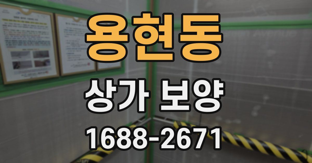 용현동 상가 보양