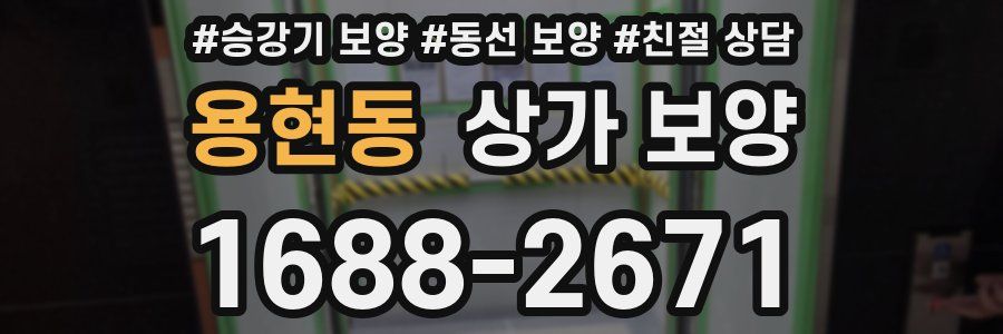 용현동 상가 보양