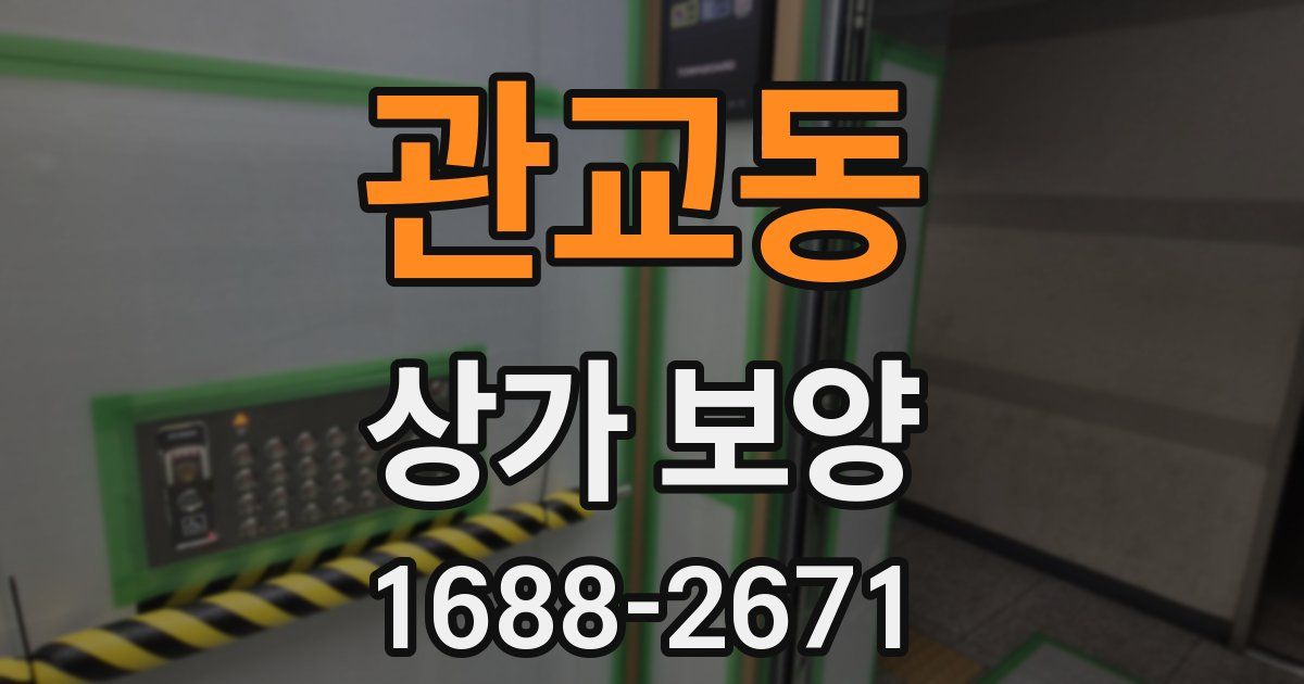 관교동 상가 보양