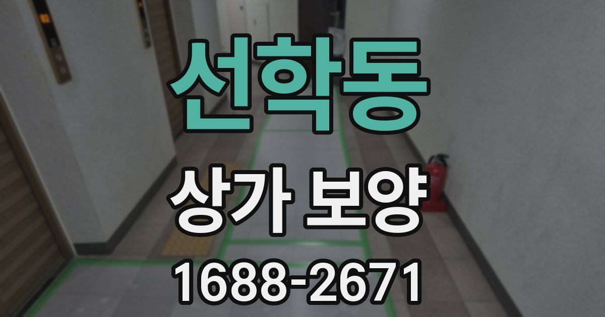 선학동 상가 보양