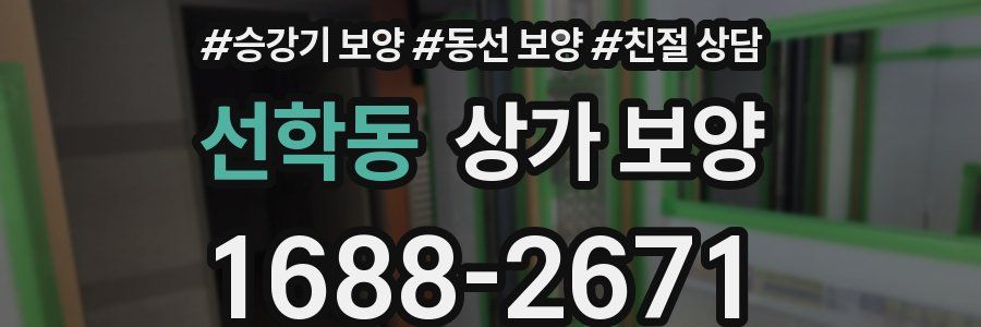 선학동 상가 보양