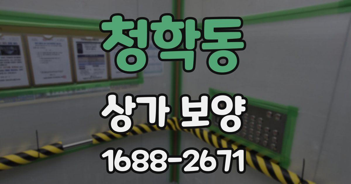 청학동 상가 보양