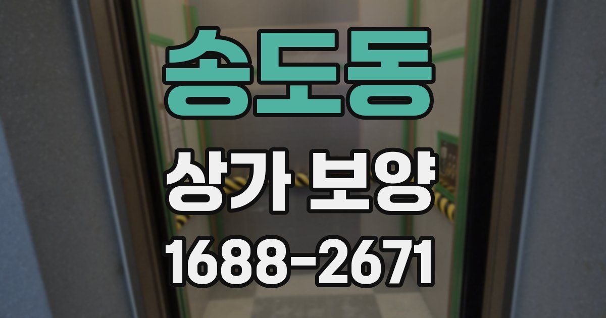 송도동 상가 보양