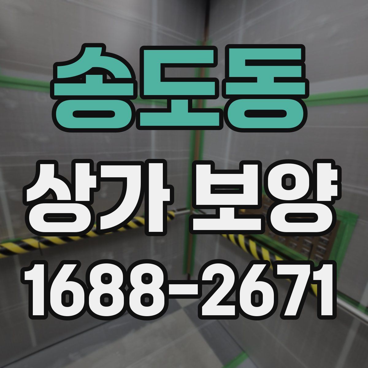 송도동 상가 보양
