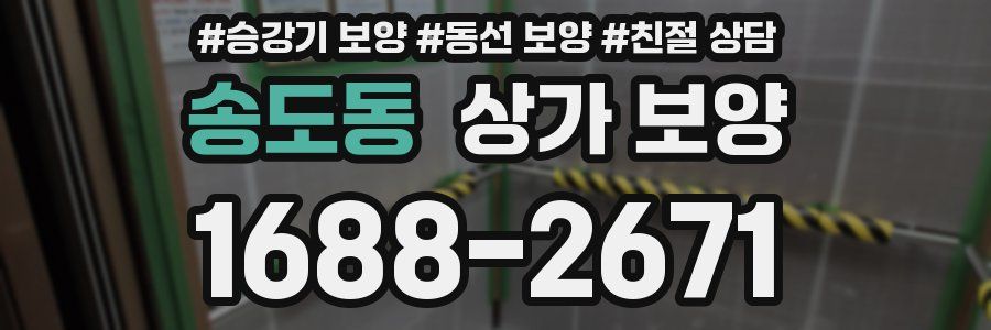 송도동 상가 보양