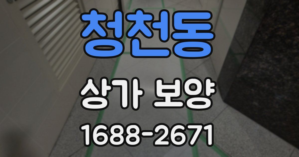 청천동 상가 보양