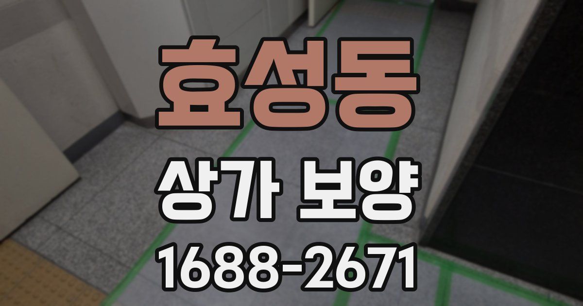 효성동 상가 보양