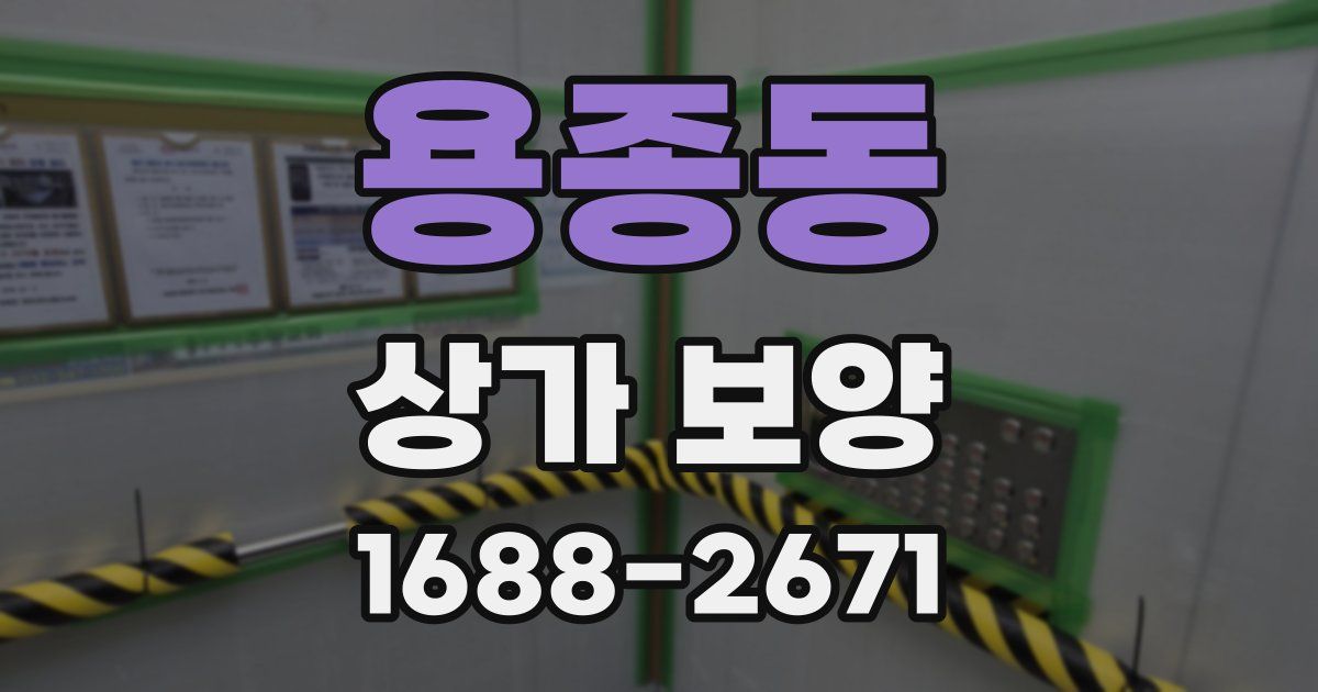 용종동 상가 보양