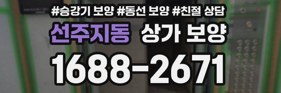선주지동 상가 보양