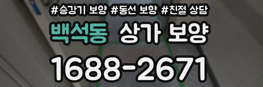 백석동 상가 보양