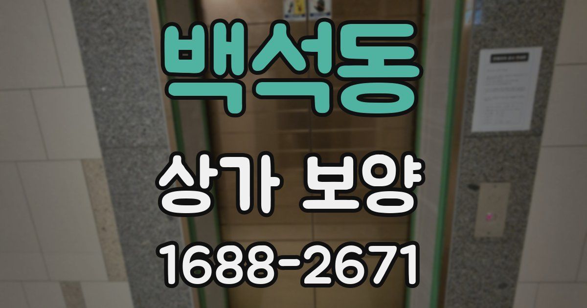 백석동 상가 보양