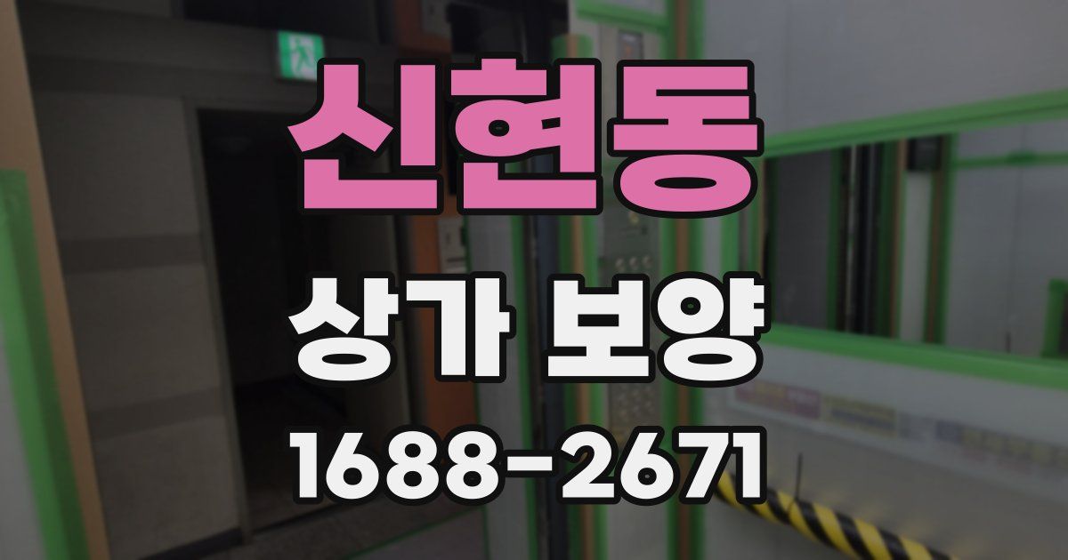 신현동 상가 보양
