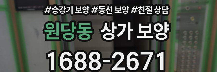 원당동 상가 보양