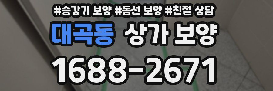 대곡동 상가 보양