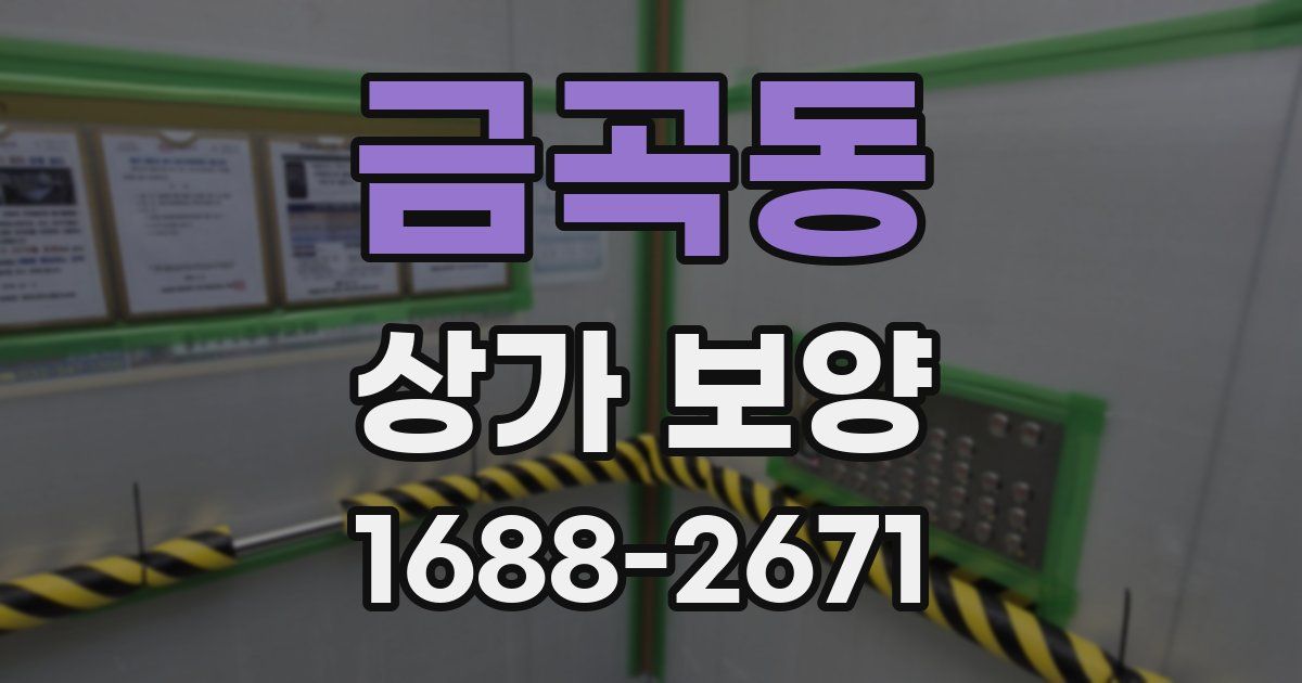 금곡동 상가 보양