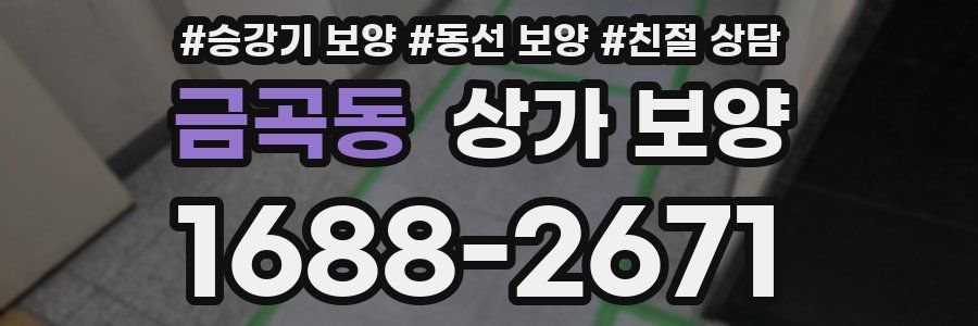 금곡동 상가 보양