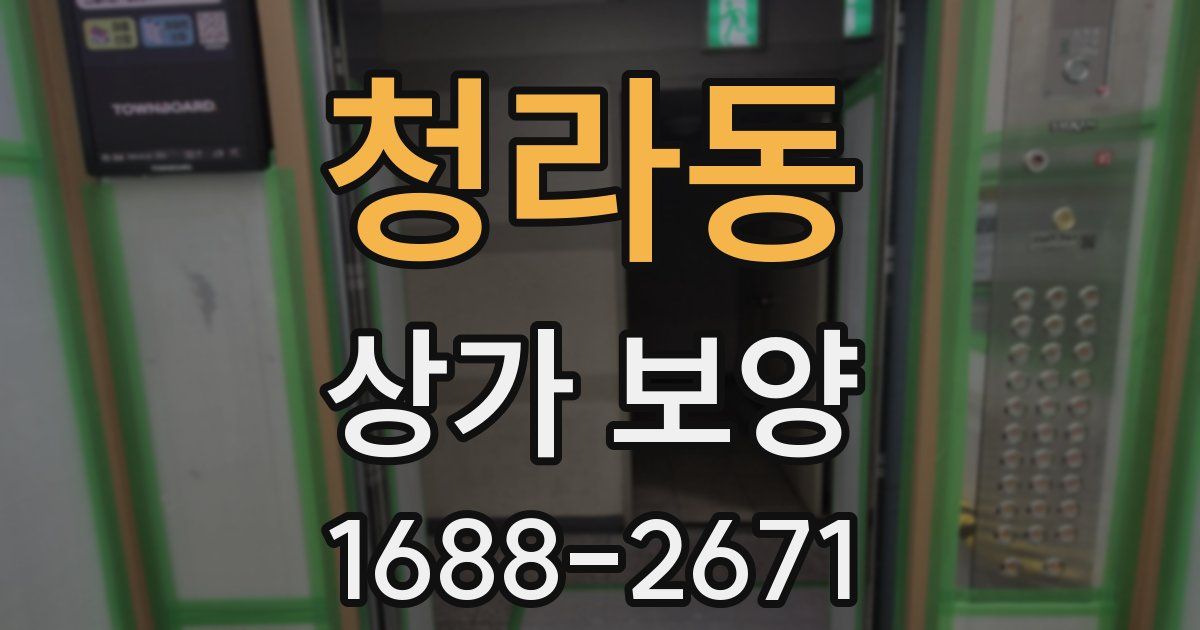 청라동 상가 보양