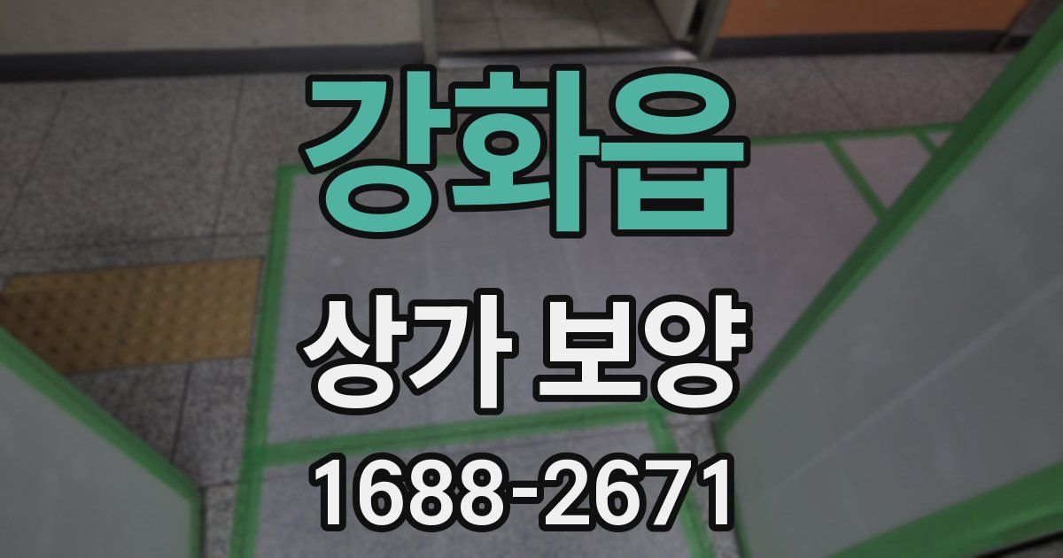 강화읍 상가 보양