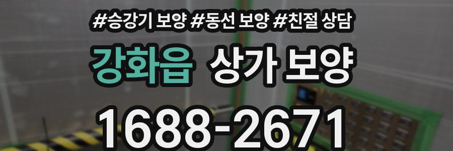 강화읍 상가 보양