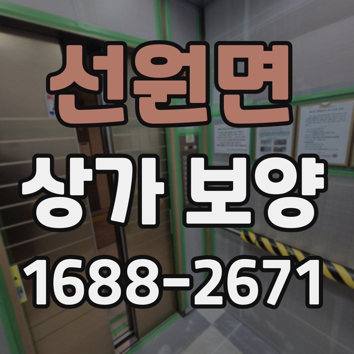선원면 상가 보양 전 현장 확인 사항