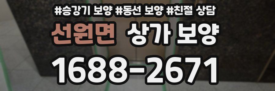 선원면 상가 보양