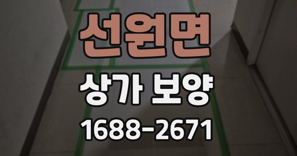 선원면 상가 보양