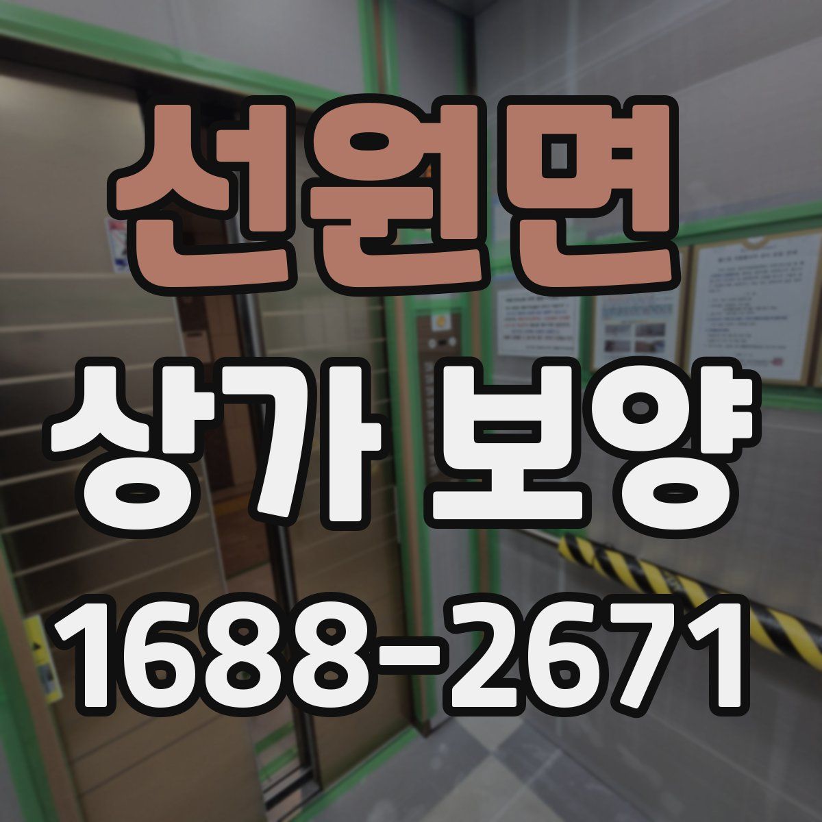 선원면 상가 보양