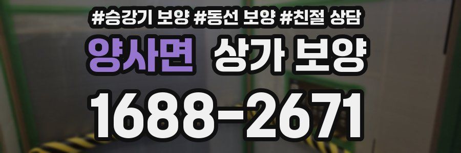 양사면 상가 보양