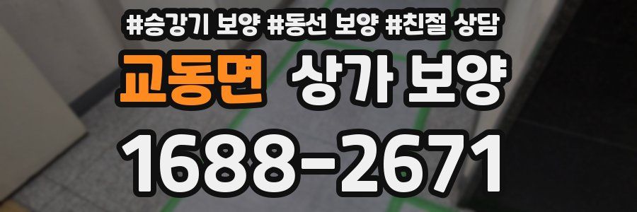 교동면 상가 보양