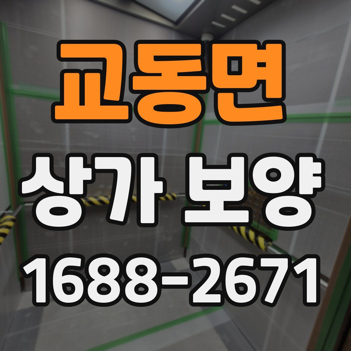 교동면 상가 보양