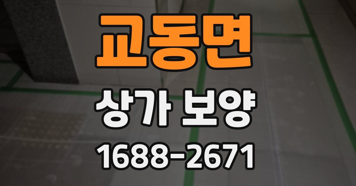 교동면 상가 보양